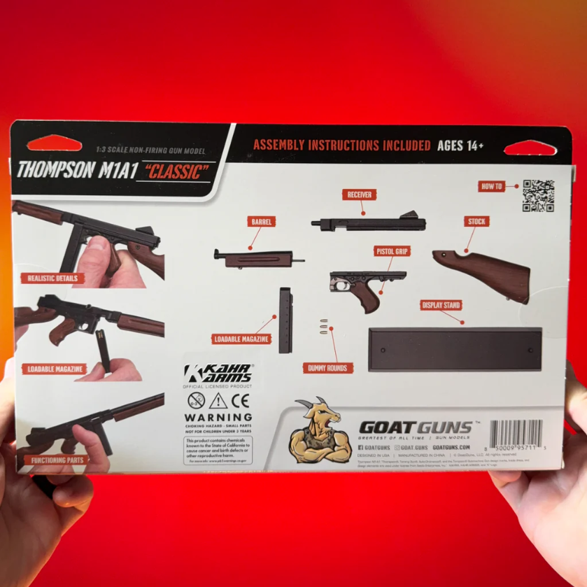 PTSMBack_00000